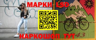 сатива Кингисепп