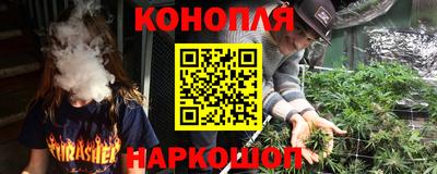 сатива Кингисепп