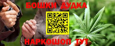 сатива Кингисепп
