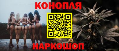 сатива Кингисепп