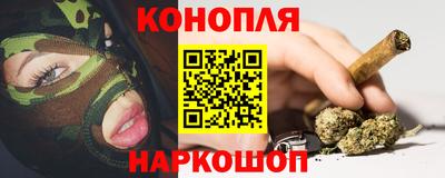 сатива Кингисепп