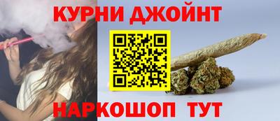 сатива Кингисепп