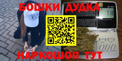сатива Кингисепп