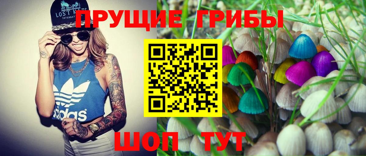 Галлюциногенные грибы Psilocybine cubensis  Вход с VPN  хочу   Галлюциногенные грибы Cubensis  Крымск 